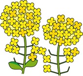 私の介護日記… 私の介護日記…