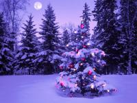 Merry Christmas♪