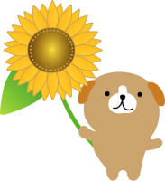 もうすぐ夏本番！