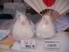 靖国神社で売られている白鳩のぬいぐるみ！私も買って来ました！